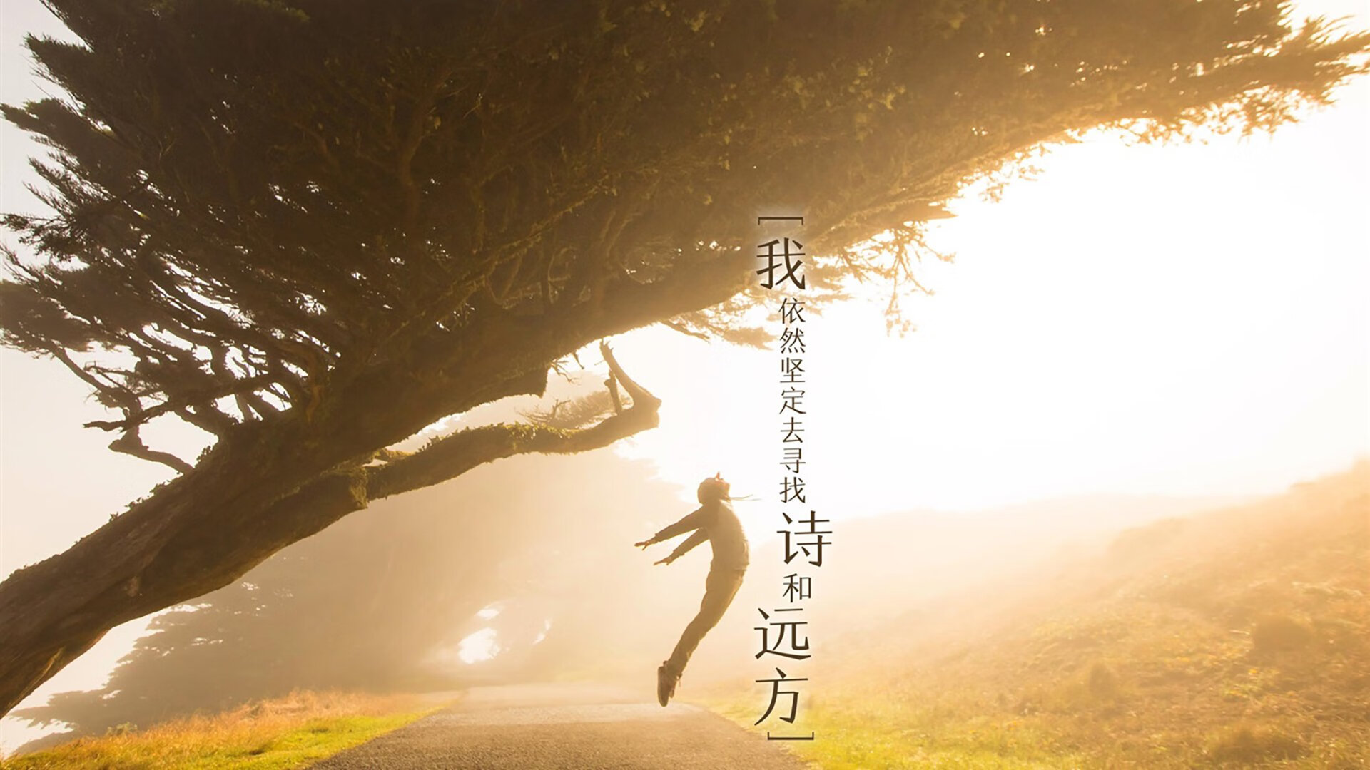 半场比分：54-51，北京队略占优势，激烈对抗持续升温！，北京单场比分500